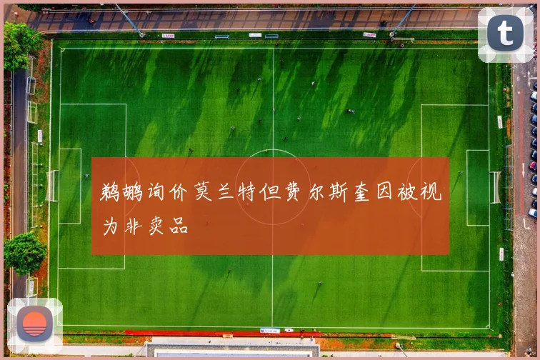 鹈鹕询价莫兰特但费尔斯奎因被视为非卖品