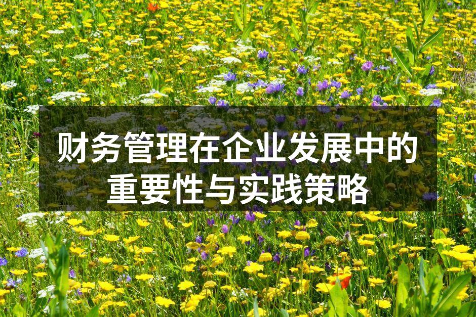 财务管理在企业发展中的重要性与实践策略