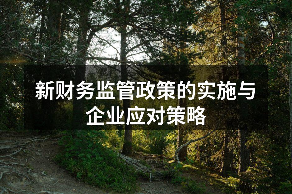 新财务监管政策的实施与企业应对策略