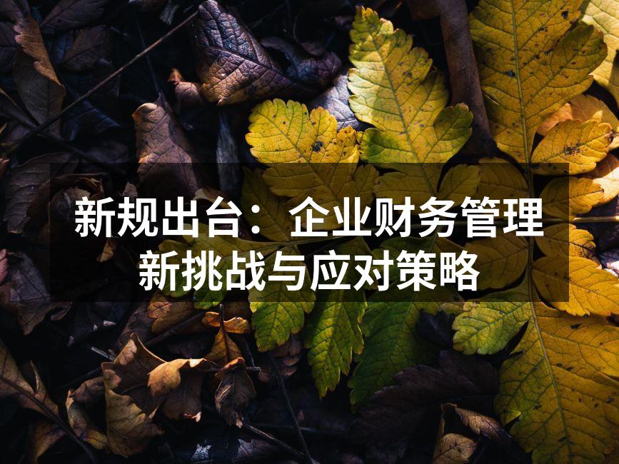 新规出台：企业财务管理新挑战与应对策略